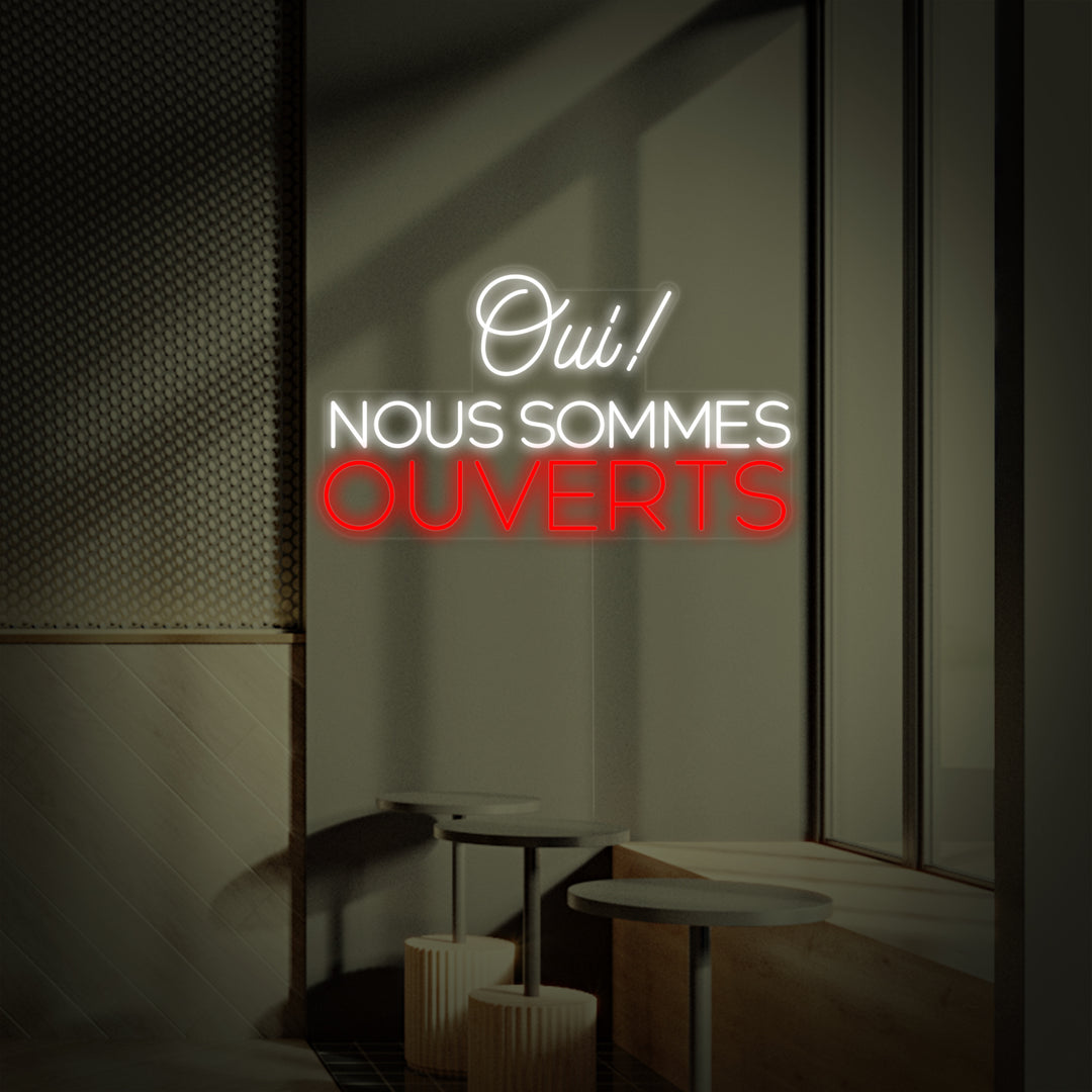"Oui Nous Sommes Ouverts" Letreros Neon